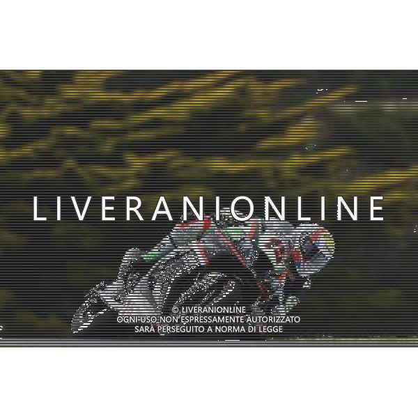 Phillip Island Australia 16.02.2017 First round World Superbike Championship WSBK at the Phillip Island Circuit, Alex de Angelis photoPSP / Newspix.pl --- Newspix.pl *** Local Caption *** www.newspix.pl mail us: info@newspix.pl call us: 0048 022 23 22 222 --- Polish Picture Agency by Ringier Axel Springer Poland / AGENZIA ALDO LIVERANI SAS - ITALY ONLY EDITORIAL USE ONLY