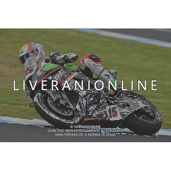 Phillip Island Australia 16.02.2017 First round World Superbike Championship WSBK at the Phillip Island Circuit, Alex de Angelis photoPSP / Newspix.pl --- Newspix.pl *** Local Caption *** www.newspix.pl mail us: info@newspix.pl call us: 0048 022 23 22 222 --- Polish Picture Agency by Ringier Axel Springer Poland / AGENZIA ALDO LIVERANI SAS - ITALY ONLY EDITORIAL USE ONLY