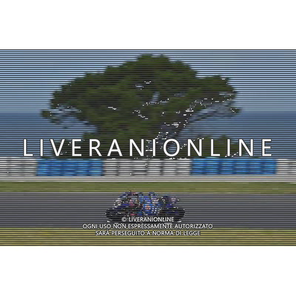 Phillip Island Australia 16.02.2017 First round World Superbike Championship WSBK at the Phillip Island Circuit, Alex Lowes photoPSP / Newspix.pl --- Newspix.pl / AGENZIA ALDO LIVERANI SAS - ITALY ONLY EDITORIAL USE ONLY