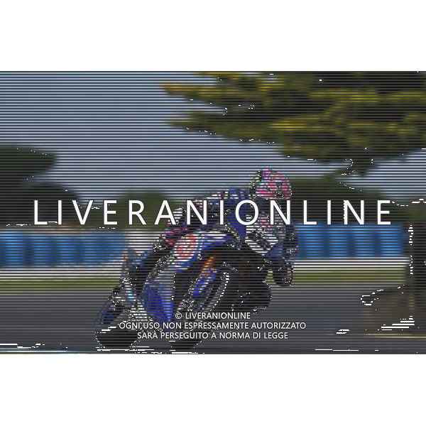 Phillip Island Australia 16.02.2017 First round World Superbike Championship WSBK at the Phillip Island Circuit, Alex Lowes photoPSP / Newspix.pl --- Newspix.pl *** Local Caption *** www.newspix.pl mail us: info@newspix.pl call us: 0048 022 23 22 222 --- Polish Picture Agency by Ringier Axel Springer Poland / AGENZIA ALDO LIVERANI SAS - ITALY ONLY EDITORIAL USE ONLY