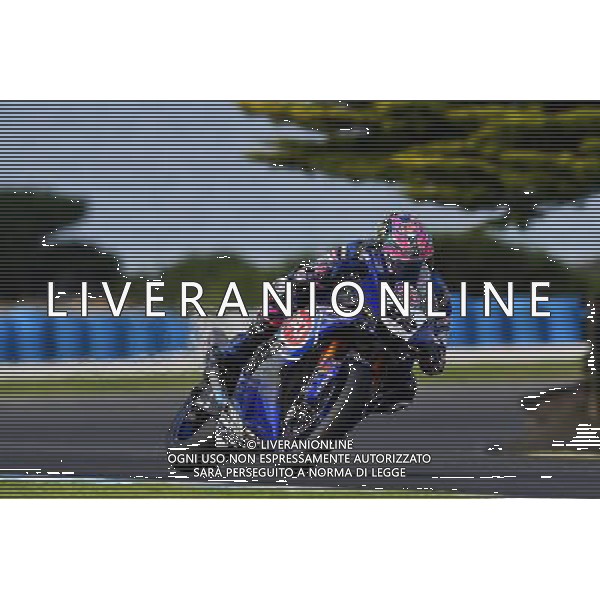 Phillip Island Australia 16.02.2017 First round World Superbike Championship WSBK at the Phillip Island Circuit, Alex Lowes photoPSP / Newspix.pl --- Newspix.pl *** Local Caption *** www.newspix.pl mail us: info@newspix.pl call us: 0048 022 23 22 222 --- Polish Picture Agency by Ringier Axel Springer Poland / AGENZIA ALDO LIVERANI SAS - ITALY ONLY EDITORIAL USE ONLY