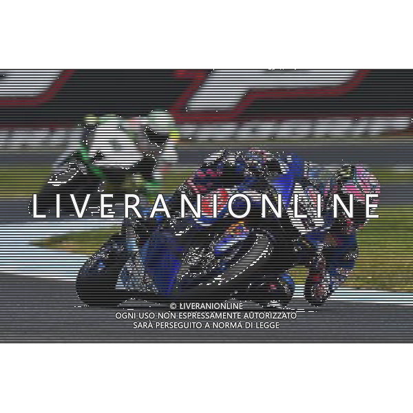 Phillip Island Australia 16.02.2017 First round World Superbike Championship WSBK at the Phillip Island Circuit, Alex Lowes photoPSP / Newspix.pl --- Newspix.pl *** Local Caption *** www.newspix.pl mail us: info@newspix.pl call us: 0048 022 23 22 222 --- Polish Picture Agency by Ringier Axel Springer Poland / AGENZIA ALDO LIVERANI SAS - ITALY ONLY EDITORIAL USE ONLY