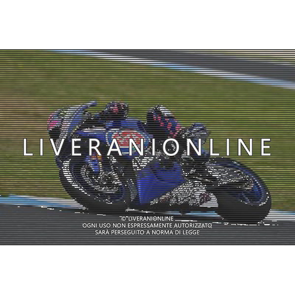 Phillip Island Australia 16.02.2017 First round World Superbike Championship WSBK at the Phillip Island Circuit, Alex Lowes photoPSP / Newspix.pl --- Newspix.pl *** Local Caption *** www.newspix.pl mail us: info@newspix.pl call us: 0048 022 23 22 222 --- Polish Picture Agency by Ringier Axel Springer Poland / AGENZIA ALDO LIVERANI SAS - ITALY ONLY EDITORIAL USE ONLY