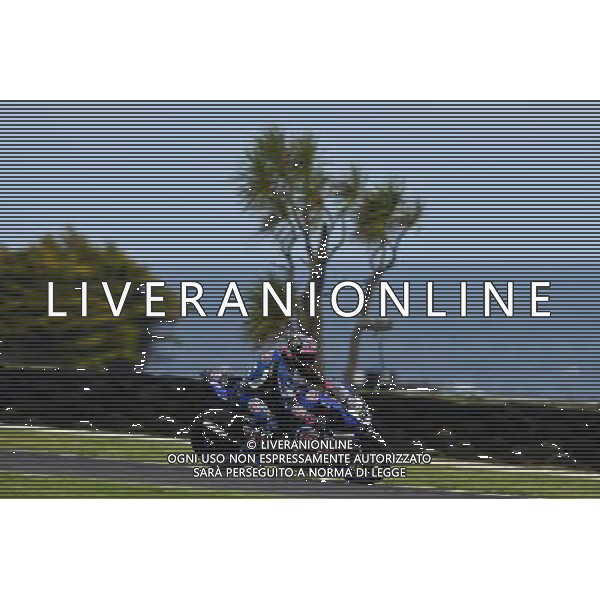 Phillip Island Australia 16.02.2017 First round World Superbike Championship WSBK at the Phillip Island Circuit, Alex Lowes photoPSP / Newspix.pl --- Newspix.pl *** Local Caption *** www.newspix.pl mail us: info@newspix.pl call us: 0048 022 23 22 222 --- Polish Picture Agency by Ringier Axel Springer Poland / AGENZIA ALDO LIVERANI SAS - ITALY ONLY EDITORIAL USE ONLY