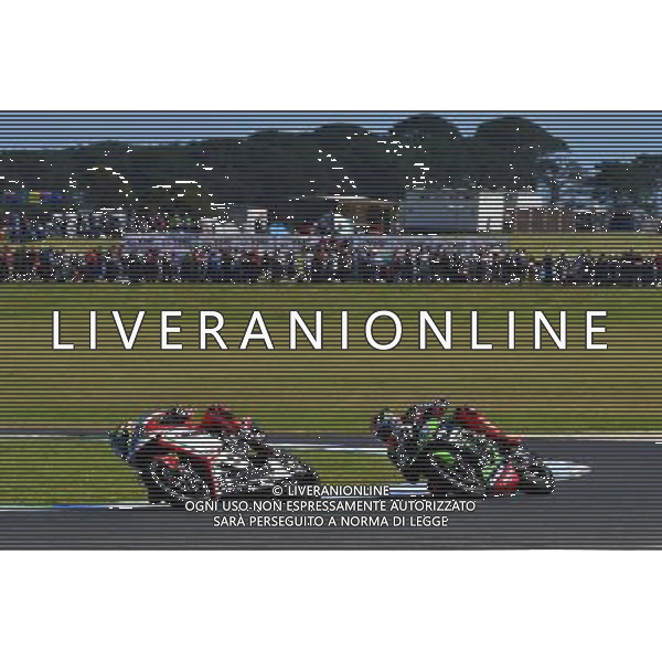 Phillip Island Australia 16.02.2017 First round World Superbike Championship WSBK at the Phillip Island Circuit, Chaz Davies photoPSP / Newspix.pl --- Newspix.pl / AGENZIA ALDO LIVERANI SAS - ITALY ONLY EDITORIAL USE ONLY