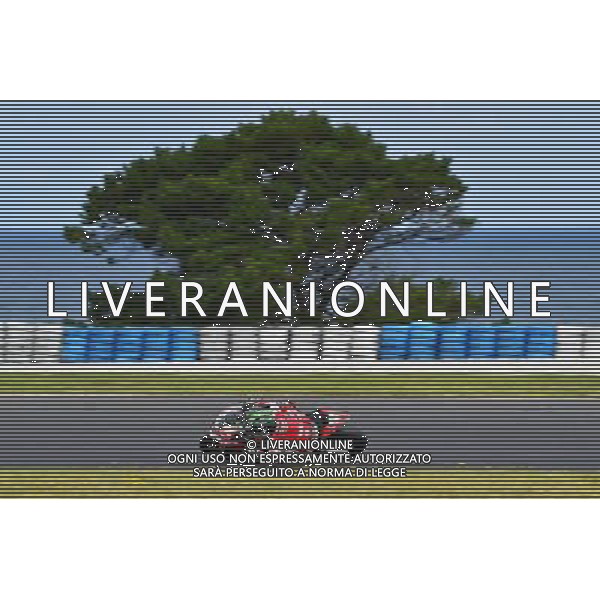 Phillip Island Australia 16.02.2017 First round World Superbike Championship WSBK at the Phillip Island Circuit, Eugene Laverty photoPSP / Newspix.pl --- Newspix.pl / AGENZIA ALDO LIVERANI SAS - ITALY ONLY EDITORIAL USE ONLY