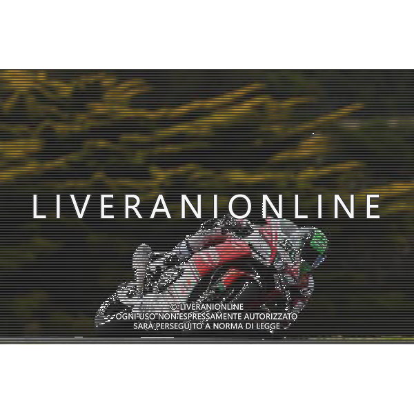 Phillip Island Australia 16.02.2017 First round World Superbike Championship WSBK at the Phillip Island Circuit, Eugene Laverty photoPSP / Newspix.pl --- Newspix.pl *** Local Caption *** www.newspix.pl mail us: info@newspix.pl call us: 0048 022 23 22 222 --- Polish Picture Agency by Ringier Axel Springer Poland / AGENZIA ALDO LIVERANI SAS - ITALY ONLY EDITORIAL USE ONLY