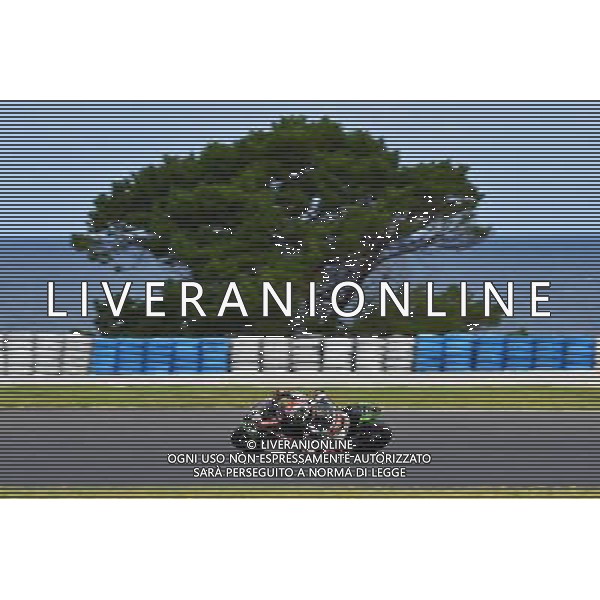 Phillip Island Australia 16.02.2017 First round World Superbike Championship WSBK at the Phillip Island Circuit, Jonathan Rea photoPSP / Newspix.pl --- Newspix.pl / AGENZIA ALDO LIVERANI SAS - ITALY ONLY EDITORIAL USE ONLY