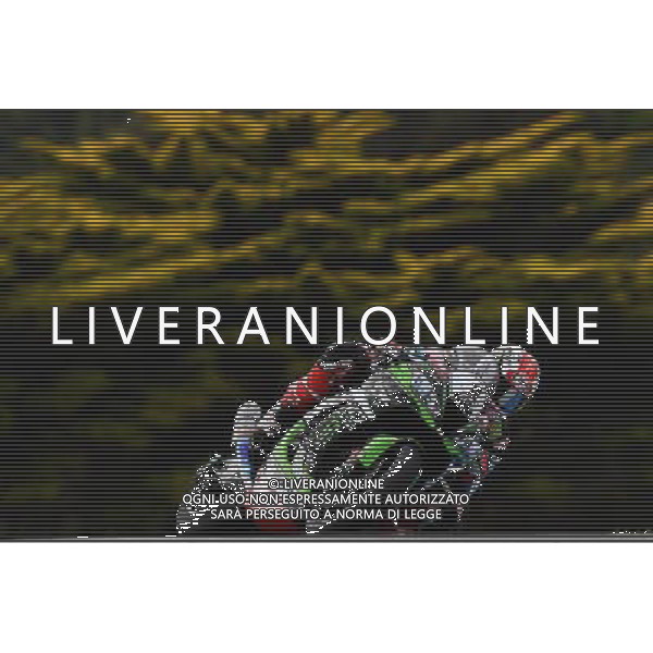 Phillip Island Australia 16.02.2017 First round World Superbike Championship WSBK at the Phillip Island Circuit, Jonathan Rea photoPSP / Newspix.pl --- Newspix.pl *** Local Caption *** www.newspix.pl mail us: info@newspix.pl call us: 0048 022 23 22 222 --- Polish Picture Agency by Ringier Axel Springer Poland / AGENZIA ALDO LIVERANI SAS - ITALY ONLY EDITORIAL USE ONLY