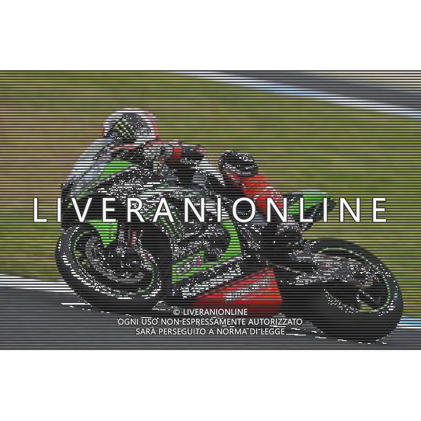 Phillip Island Australia 16.02.2017 First round World Superbike Championship WSBK at the Phillip Island Circuit, Jonathan Rea photoPSP / Newspix.pl --- Newspix.pl *** Local Caption *** www.newspix.pl mail us: info@newspix.pl call us: 0048 022 23 22 222 --- Polish Picture Agency by Ringier Axel Springer Poland / AGENZIA ALDO LIVERANI SAS - ITALY ONLY EDITORIAL USE ONLY