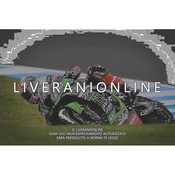 Phillip Island Australia 16.02.2017 First round World Superbike Championship WSBK at the Phillip Island Circuit, Jonathan Rea photoPSP / Newspix.pl --- Newspix.pl *** Local Caption *** www.newspix.pl mail us: info@newspix.pl call us: 0048 022 23 22 222 --- Polish Picture Agency by Ringier Axel Springer Poland / AGENZIA ALDO LIVERANI SAS - ITALY ONLY EDITORIAL USE ONLY