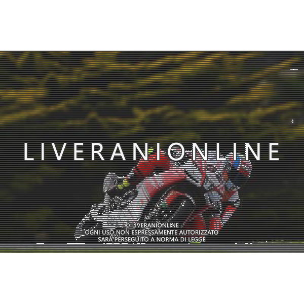 Phillip Island Australia 16.02.2017 First round World Superbike Championship WSBK at the Phillip Island Circuit, Lorenzo Savadori photoPSP / Newspix.pl --- Newspix.pl *** Local Caption *** www.newspix.pl mail us: info@newspix.pl call us: 0048 022 23 22 222 --- Polish Picture Agency by Ringier Axel Springer Poland / AGENZIA ALDO LIVERANI SAS - ITALY ONLY EDITORIAL USE ONLY