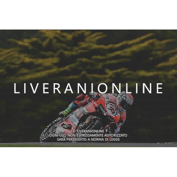 Phillip Island Australia 16.02.2017 First round World Superbike Championship WSBK at the Phillip Island Circuit, Marco Melandri photoPSP / Newspix.pl --- Newspix.pl *** Local Caption *** www.newspix.pl mail us: info@newspix.pl call us: 0048 022 23 22 222 --- Polish Picture Agency by Ringier Axel Springer Poland / AGENZIA ALDO LIVERANI SAS - ITALY ONLY EDITORIAL USE ONLY