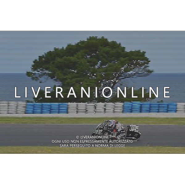 Phillip Island Australia 16.02.2017 First round World Superbike Championship WSBK at the Phillip Island Circuit, Markus Reitenberger photoPSP / Newspix.pl --- Newspix.pl / AGENZIA ALDO LIVERANI SAS - ITALY ONLY EDITORIAL USE ONLY