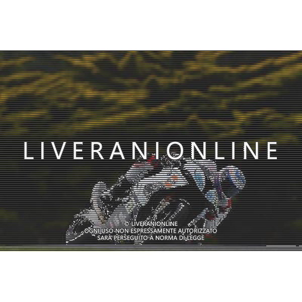 Phillip Island Australia 16.02.2017 First round World Superbike Championship WSBK at the Phillip Island Circuit, Markus Reitenberger photoPSP / Newspix.pl --- Newspix.pl *** Local Caption *** www.newspix.pl mail us: info@newspix.pl call us: 0048 022 23 22 222 --- Polish Picture Agency by Ringier Axel Springer Poland / AGENZIA ALDO LIVERANI SAS - ITALY ONLY EDITORIAL USE ONLY