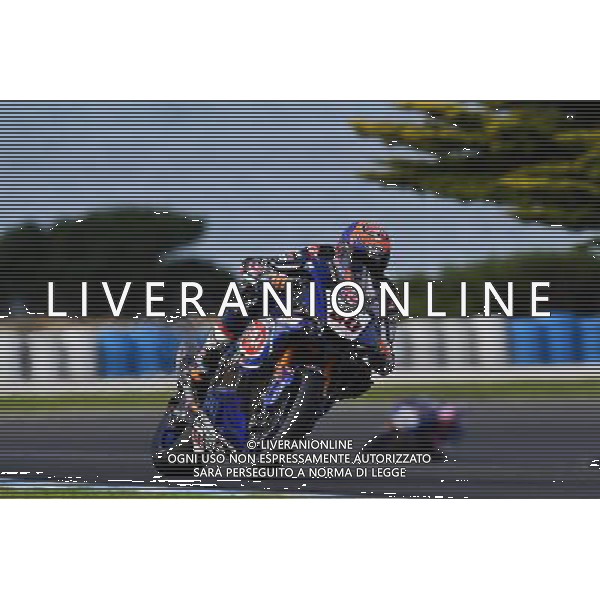 Phillip Island Australia 16.02.2017 First round World Superbike Championship WSBK at the Phillip Island Circuit, Michael van der Mark photoPSP / Newspix.pl --- Newspix.pl *** Local Caption *** www.newspix.pl mail us: info@newspix.pl call us: 0048 022 23 22 222 --- Polish Picture Agency by Ringier Axel Springer Poland / AGENZIA ALDO LIVERANI SAS - ITALY ONLY EDITORIAL USE ONLY