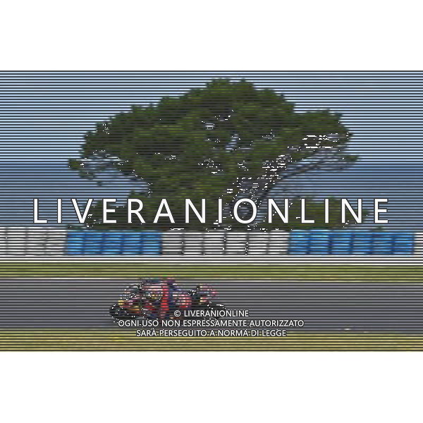 Phillip Island Australia 16.02.2017 First round World Superbike Championship WSBK at the Phillip Island Circuit, Nicky Hayden photoPSP / Newspix.pl --- Newspix.pl / AGENZIA ALDO LIVERANI SAS - ITALY ONLY EDITORIAL USE ONLY