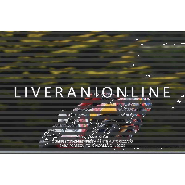 Phillip Island Australia 16.02.2017 First round World Superbike Championship WSBK at the Phillip Island Circuit, Nicky Hayden photoPSP / Newspix.pl --- Newspix.pl *** Local Caption *** www.newspix.pl mail us: info@newspix.pl call us: 0048 022 23 22 222 --- Polish Picture Agency by Ringier Axel Springer Poland / AGENZIA ALDO LIVERANI SAS - ITALY ONLY EDITORIAL USE ONLY