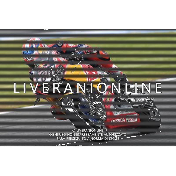 Phillip Island Australia 16.02.2017 First round World Superbike Championship WSBK at the Phillip Island Circuit, Nicky Hayden photoPSP / Newspix.pl --- Newspix.pl *** Local Caption *** www.newspix.pl mail us: info@newspix.pl call us: 0048 022 23 22 222 --- Polish Picture Agency by Ringier Axel Springer Poland / AGENZIA ALDO LIVERANI SAS - ITALY ONLY EDITORIAL USE ONLY