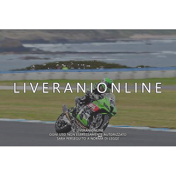 Phillip Island Australia 16.02.2017 First round World Superbike Championship WSBK at the Phillip Island Circuit, Randy Krummenacher photoPSP / Newspix.pl --- Newspix.pl / AGENZIA ALDO LIVERANI SAS - ITALY ONLY EDITORIAL USE ONLY