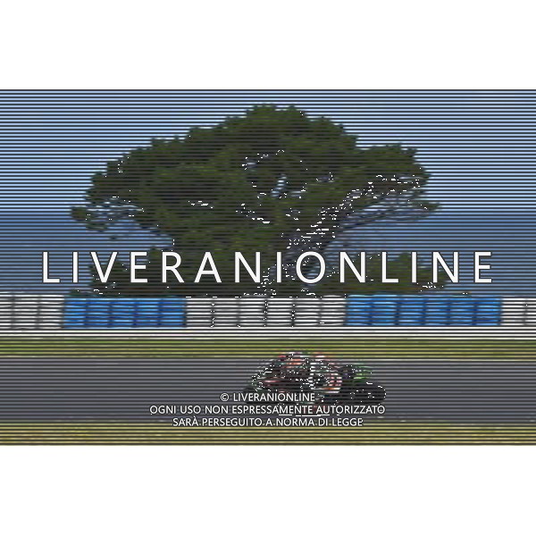 Phillip Island Australia 16.02.2017 First round World Superbike Championship WSBK at the Phillip Island Circuit, Tom Sykes photoPSP / Newspix.pl --- Newspix.pl *** Local Caption *** www.newspix.pl mail us: info@newspix.pl call us: 0048 022 23 22 222 --- Polish Picture Agency by Ringier Axel Springer Poland / AGENZIA ALDO LIVERANI SAS - ITALY ONLY EDITORIAL USE ONLY