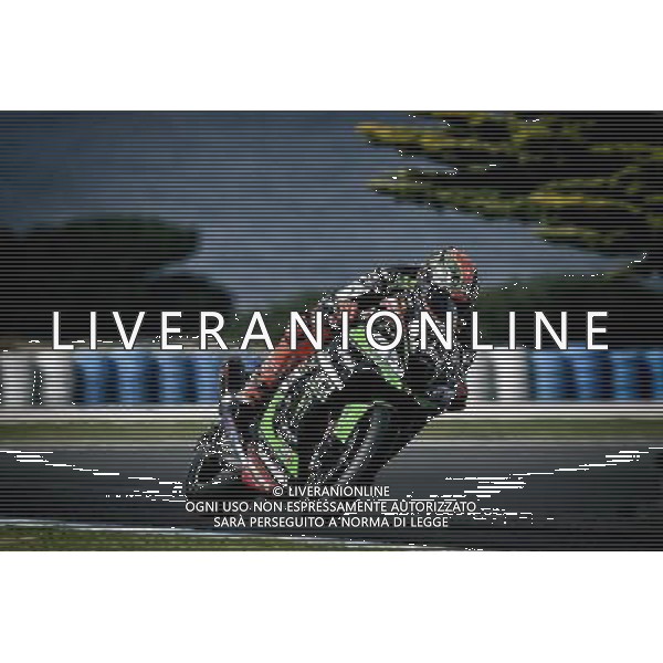 Phillip Island Australia 16.02.2017 First round World Superbike Championship WSBK at the Phillip Island Circuit, Tom Sykes photoPSP / Newspix.pl --- Newspix.pl *** Local Caption *** www.newspix.pl mail us: info@newspix.pl call us: 0048 022 23 22 222 --- Polish Picture Agency by Ringier Axel Springer Poland / AGENZIA ALDO LIVERANI SAS - ITALY ONLY EDITORIAL USE ONLY