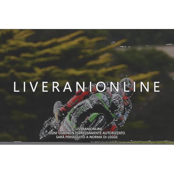 Phillip Island Australia 16.02.2017 First round World Superbike Championship WSBK at the Phillip Island Circuit, Tom Sykes photoPSP / Newspix.pl --- Newspix.pl *** Local Caption *** www.newspix.pl mail us: info@newspix.pl call us: 0048 022 23 22 222 --- Polish Picture Agency by Ringier Axel Springer Poland / AGENZIA ALDO LIVERANI SAS - ITALY ONLY EDITORIAL USE ONLY