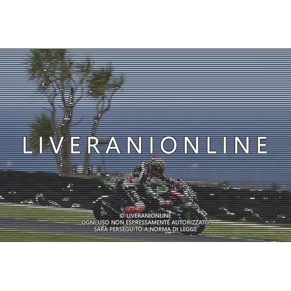 Phillip Island Australia 16.02.2017 First round World Superbike Championship WSBK at the Phillip Island Circuit, Tom Sykes photoPSP / Newspix.pl --- Newspix.pl *** Local Caption *** www.newspix.pl mail us: info@newspix.pl call us: 0048 022 23 22 222 --- Polish Picture Agency by Ringier Axel Springer Poland / AGENZIA ALDO LIVERANI SAS - ITALY ONLY EDITORIAL USE ONLY