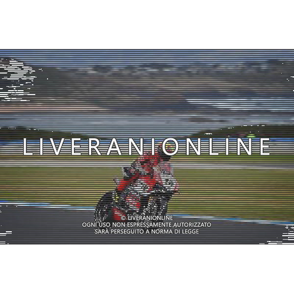 Phillip Island Australia 16.02.2017 First round World Superbike Championship WSBK at the Phillip Island Circuit, Xavi Fores photoPSP / Newspix.pl --- Newspix.pl / AGENZIA ALDO LIVERANI SAS - ITALY ONLY EDITORIAL USE ONLY