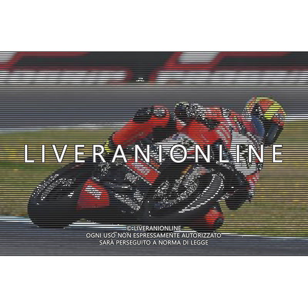 Phillip Island Australia 16.02.2017 First round World Superbike Championship WSBK at the Phillip Island Circuit, Xavi Fores photoPSP / Newspix.pl --- Newspix.pl *** Local Caption *** www.newspix.pl mail us: info@newspix.pl call us: 0048 022 23 22 222 --- Polish Picture Agency by Ringier Axel Springer Poland / AGENZIA ALDO LIVERANI SAS - ITALY ONLY EDITORIAL USE ONLY