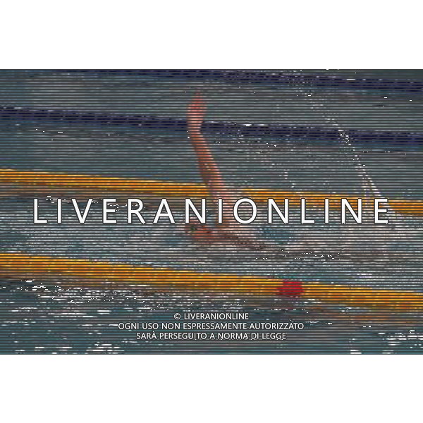 Milano, ( MI ) 10/03/2017 Nuoto 7mo Trofeo Citta\' di Milano 10 Marzo 2017 Nella foto: Federica Pellegrini PH Lauro Montagnini /AGENZIA ALDO LIVERANI SAS - Nuoto 7mo Trofeo Citta\' di Milano 10 Marzo 2017