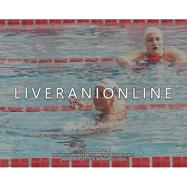 Milano, ( MI ) 10/03/2017 Nuoto 7mo Trofeo Citta\' di Milano 10 Marzo 2017 Nella foto: Federica Pellegrini PH Lauro Montagnini /AGENZIA ALDO LIVERANI SAS - Nuoto 7mo Trofeo Citta\' di Milano 10 Marzo 2017