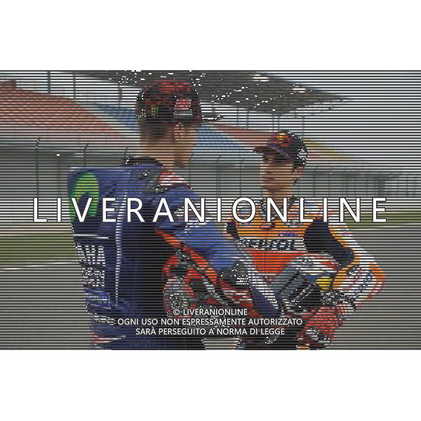 22/03/2017. Losail International Circuit.Gran Premio del Qatar.Maverick Vinales e Dani Pedrosa. FOTO G.PIAZZOLLA-AG ALDO LIVERANI SAS