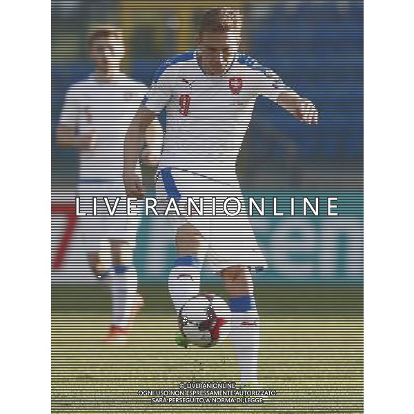 Dockal Borek during European Qualifiers FIFA World Cup 2018 international soccer match group C between San Marino and Czech Republic at San Marino Olympic Stadium on March 25 2017 photo credit by Claudio Zamagni/Aldo Liverani Photo Agency