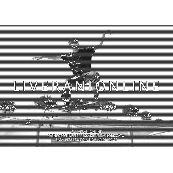 Skateboarding Nella Foto:Skateboarding Skateboard Skate Situazione Skatepark /Ph.Vitez-Ag. Aldo Liverani