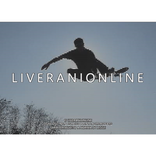 Skateboarding Nella Foto:Skateboarding Skateboard Skate Situazione Skatepark /Ph.Vitez-Ag. Aldo Liverani