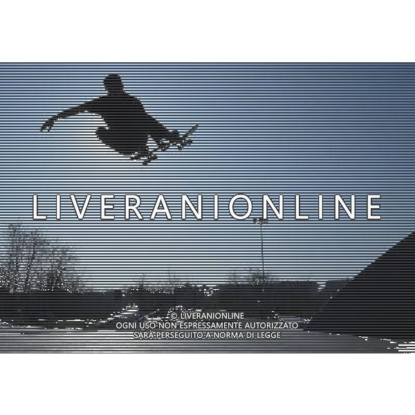 Skateboarding Nella Foto:Skateboarding Skateboard Skate Situazione Skatepark /Ph.Vitez-Ag. Aldo Liverani