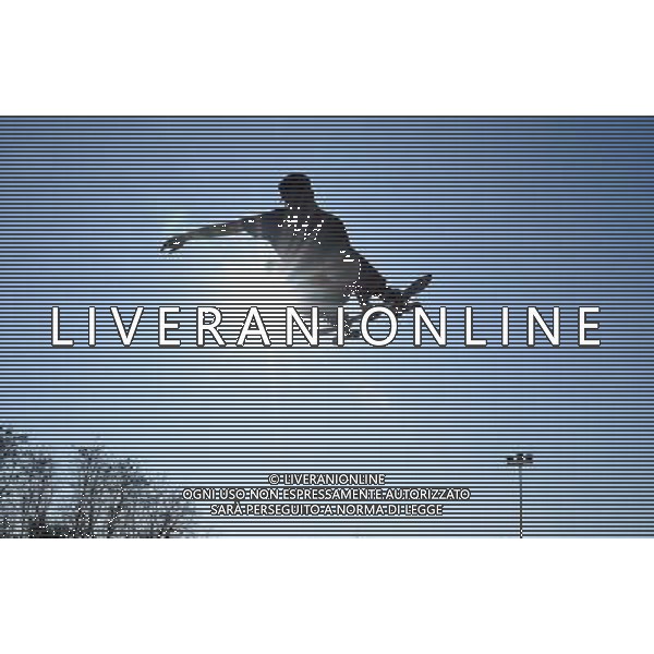 Skateboarding Nella Foto:Skateboarding Skateboard Skate Situazione Skatepark /Ph.Vitez-Ag. Aldo Liverani