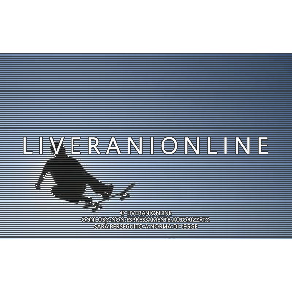 Skateboarding Nella Foto:Skateboarding Skateboard Skate Situazione Skatepark /Ph.Vitez-Ag. Aldo Liverani