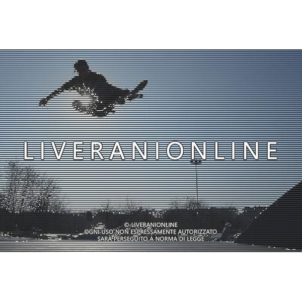 Skateboarding Nella Foto:Skateboarding Skateboard Skate Situazione Skatepark /Ph.Vitez-Ag. Aldo Liverani