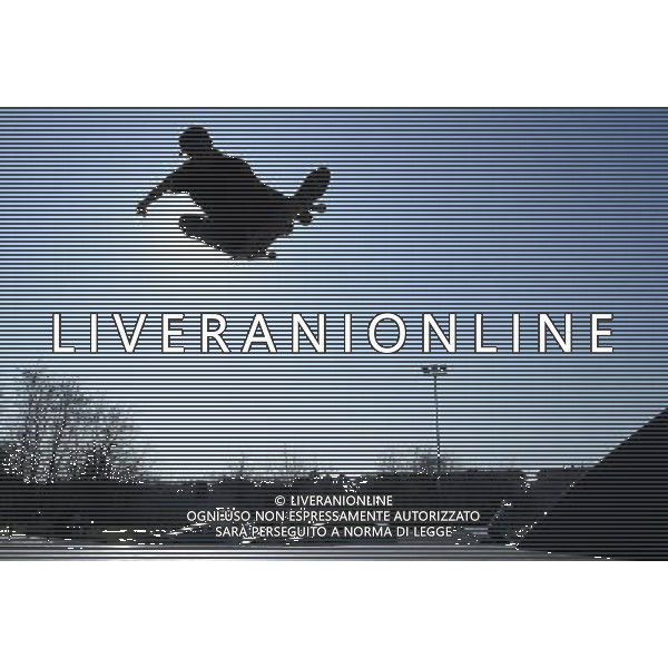 Skateboarding Nella Foto:Skateboarding Skateboard Skate Situazione Skatepark /Ph.Vitez-Ag. Aldo Liverani