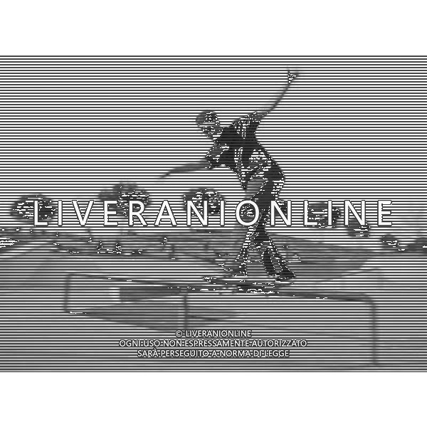 Skateboarding Nella Foto:Skateboarding Skateboard Skate Situazione Skatepark /Ph.Vitez-Ag. Aldo Liverani