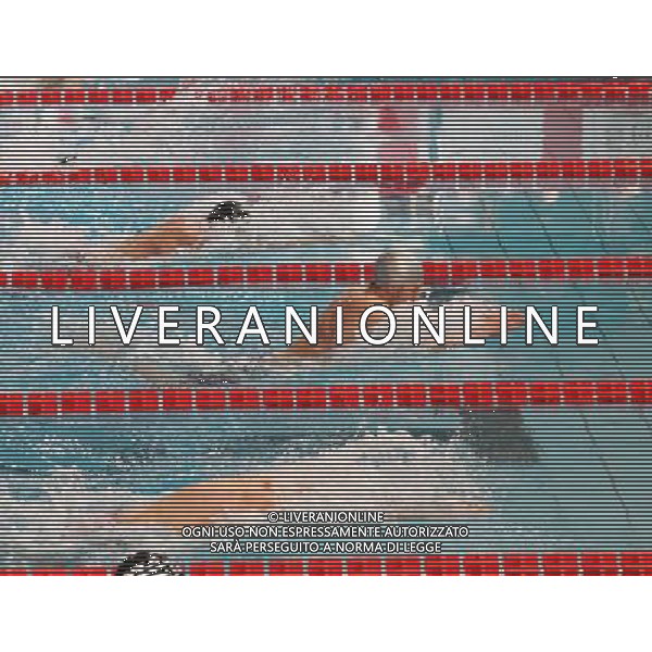 Milano ( MI ) 10/03/2017 7 Trofeo citta di Milano -- 50m Rana Assoluti Maschili Nella foto: Andrea Toniato PH Lauro Montagnini