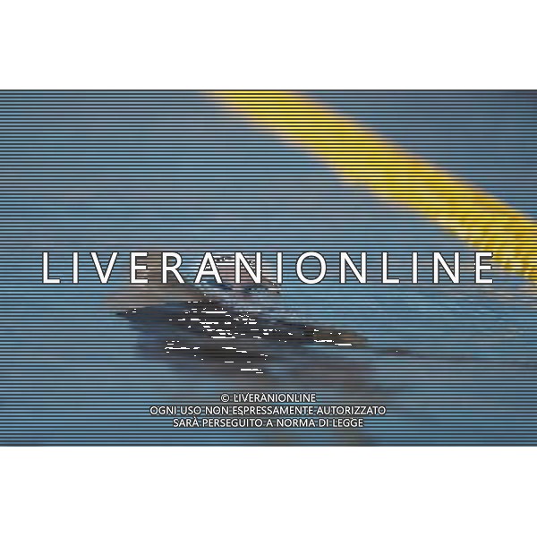 Riccione - Campionato Italiano Assoluto di Nuoto UnipolSai 04/04/2017 nella foto: PELLEGRINI FEDERICA Â©Claudio Zamagni/Agenzia Aldo Liverani 