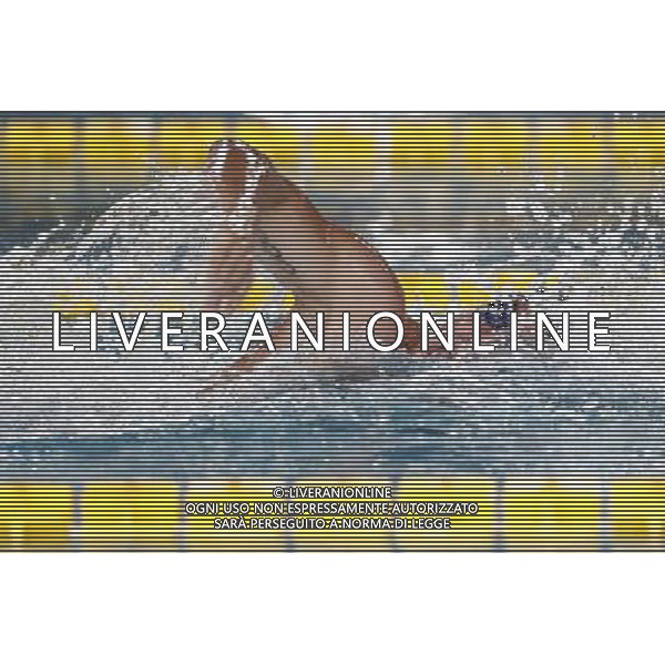 Riccione - Campionato Italiano Assoluto di Nuoto UnipolSai 04/04/2017 nella foto: DETTI GABRIELE Â©Claudio Zamagni/Agenzia Aldo Liverani 