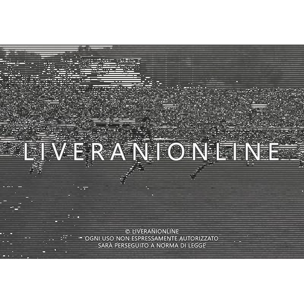 01-11-1980 ROMA STADIO OLIMPICO ITALIA DANIMARCA 2-0 NELLA FOTO FRANCESCO GRAZIANI AG ALDO LIVERANI SAS