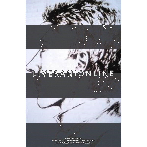 Braunau ( Austria ) nella foto: Autoritratto di Adolf Hitler foto Recalcati Danilo/Ag Aldo Liverani