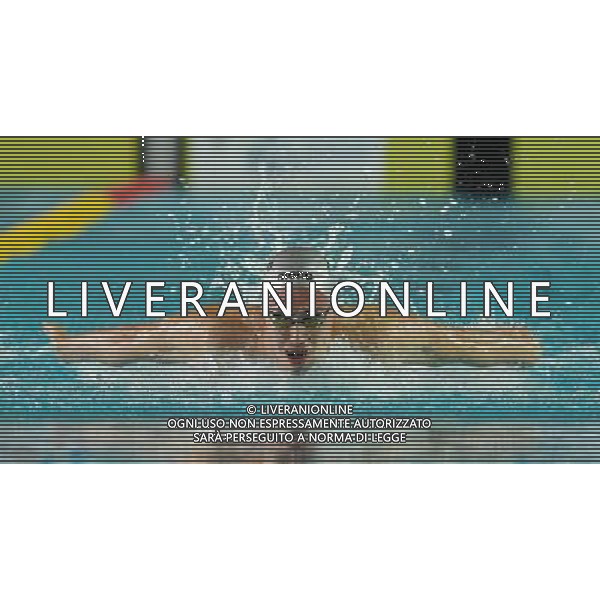 Campionato Italiano Assoluto UnipolSai di Nuoto Riccione (RN) - 05.04.2017 Nella Foto:Codia Piero /Ph.Vitez-Ag. Aldo Liverani