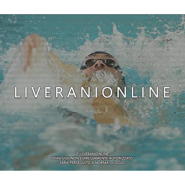 Campionato Italiano Assoluto UnipolSai di Nuoto Riccione (RN) - 05.04.2017 Nella Foto:Marin Luca /Ph.Vitez-Ag. Aldo Liverani