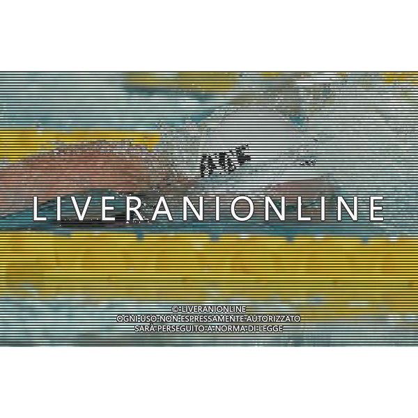 Campionato Italiano Assoluto UnipolSai di Nuoto Riccione (RN) - 05.04.2017 Nella Foto:Pellegrini Federica /Ph.Vitez-Ag. Aldo Liverani